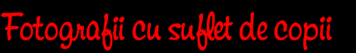 Despre noi